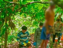 Seorang Pria di Kolut Ditemukan Tewas Gantung Diri di Kebun Coklat