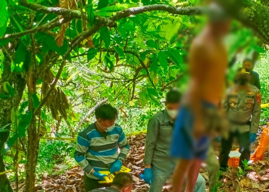 Seorang Pria di Kolut Ditemukan Tewas Gantung Diri di Kebun Coklat