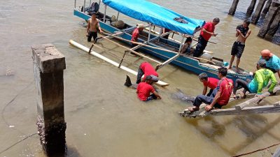 Lumba-lumba Jenis Hidung Botol Terdampar di Sungai Wanggu, BKSDA Evakuasi