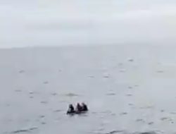 3 Nelayan Asal Kendari Ditemukan Terombang-ambing di Laut Maluku Utara