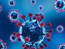 Kasus Positif Covid-19 di Kendari Meledak, Tembus 1014