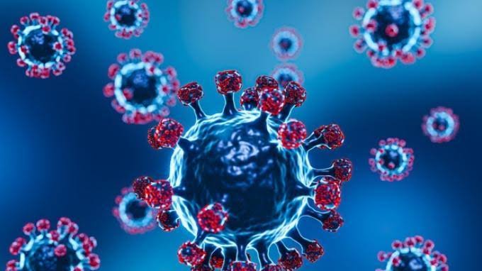 Kasus Positif Covid-19 di Kendari Meledak, Tembus 1014