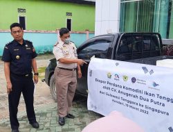 Perdana, Bea Cukai Kendari Ekspor Ikan Tenggiri ke Singapura