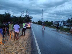 Bocah 14 Tahun di Konawe Tewas Ditabrak Mobil, Pelaku Melarikan Diri