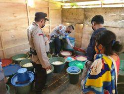Apes! 10 Baskom Pongasi di Sampara Berhasil Diamankan Polisi