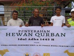 PT GKP Berkurban 10 Ekor Sapi ke Masyarakat Lingkar Tambang