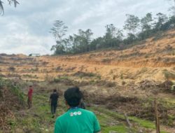 Akibat Serobot Lahan Masyarakat, DPRD Sultra Segera Gelar RDP dengan PT Merbau