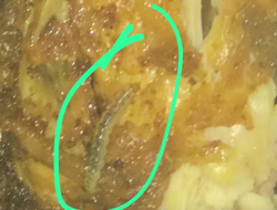 Ditemukan Ulat di Ayam Goreng, Konsumen Bebek Sakti Kendari Terkejut dan Kecewa