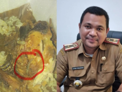 Disperindag Sultra Bakal Tindaklanjuti Kasus Ulat Ayam Goreng di Warung Bebek Sakti