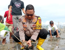 Kapolres Kolaka Utara Pimpin Penanaman Pohon Mangrove dalam Rangka Perayaan HUT ke-21 Kolut