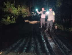 Jembatan Penghubung Dua Desa Ambruk Akibat Tanah Longsor, Polres Konsel Lakukan Evakuasi