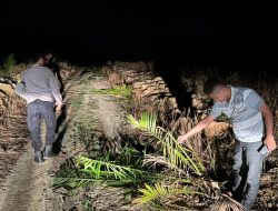 PT MS Polisikan Warga Puao atas Dugaan Pengrusakan dan Pembakaran