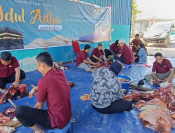 PLN Nusantara Power UP Kendari Salurkan 7 Sapi Qurban di Sultra dalam Rangka Idul Adha 1446 H