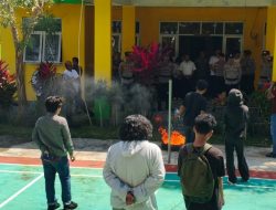 PT. Sampewali Diduga Garap Hutan Produksi Secara Ilegal di Bombana